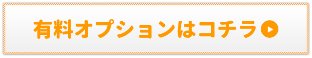 有料オプションはコチラ